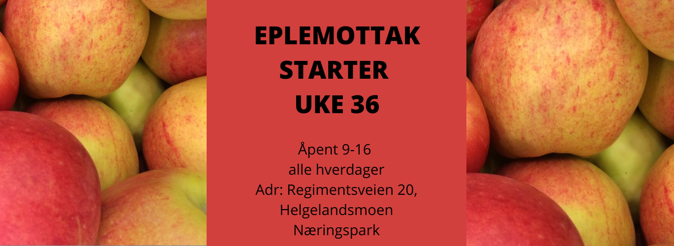 EPLEMOTTAK_LAG_DIN_EGEN_EPLEMOST